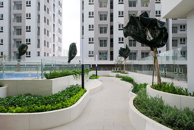 Tiếp tục thi công khu vực cảnh quan1