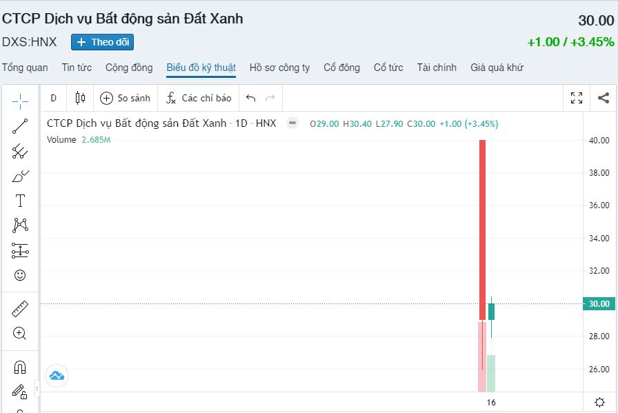 Công ty Dịch vụ Bất động sản Đất Xanh 