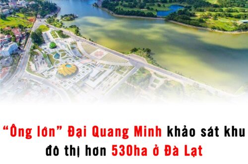 Công ty Cổ phần địa ốc Đại Quang Minh khảo sát Đà Lạt