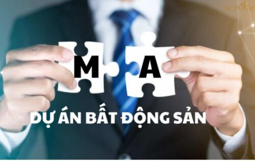 Dự án Bất Động Sản BDS