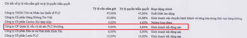 Tỷ lệ góp vốn của FLC tại FLC Holding.