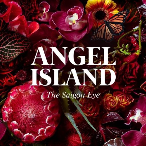 Angel Island - Sông Tiên Corp logo