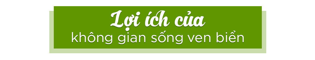 Lợi ích của không gian sống ven biển