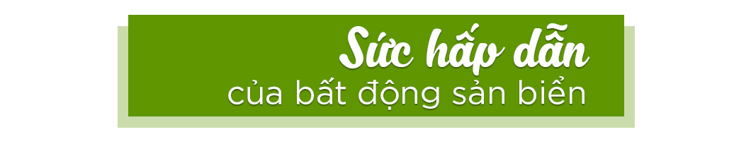 Sức hấp dẫn bất động sản Biển Quy Nhơn