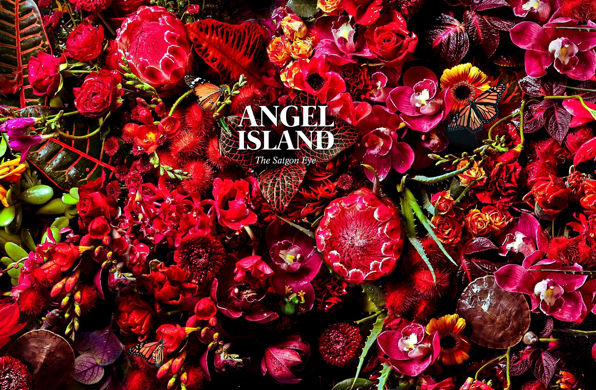 Angel Island Sông Tiên - Chủ đầu tư mở bán