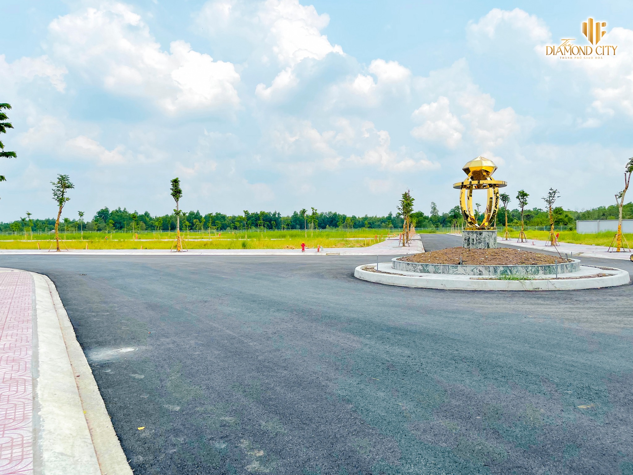 Cập nhật tiến độ dự án The Diamond City